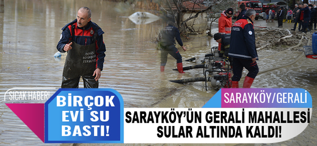 Sarayköy'ün Gerali Mahallesi sular altında kaldı! Birçok evi su bastı!