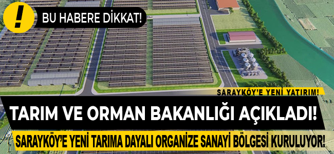 Tarım ve Orman Bakanlığı açıkladı! Sarayköy'e yeni TARIMA DAYALI ORGANİZE SANAYİ BÖLGESİ kuruluyor!