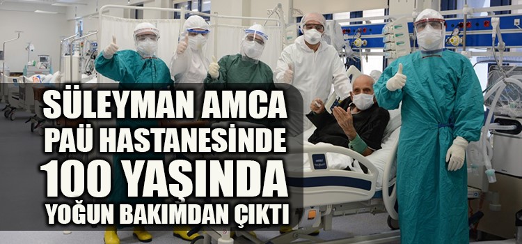 Asırlık Çınar Yoğun Bakımdan Servise Sağlıkla Gönderildi