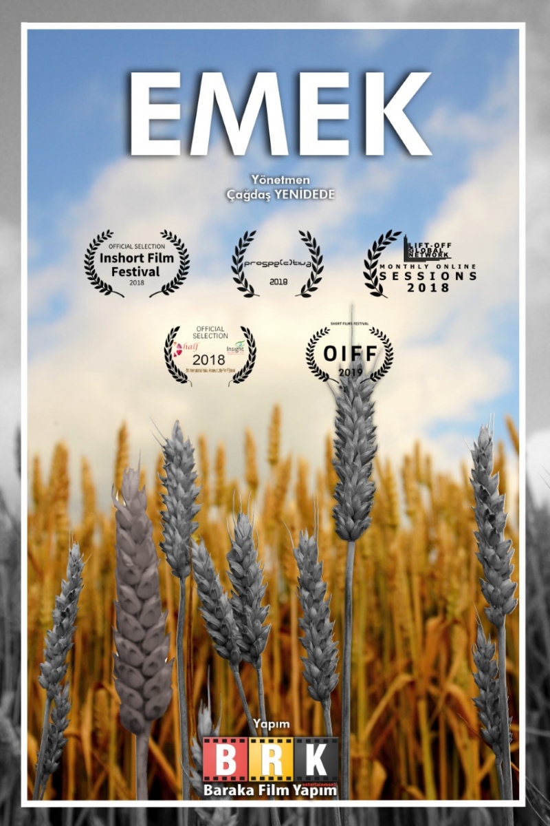 Belgeseli Ödüllerle Taçlandı