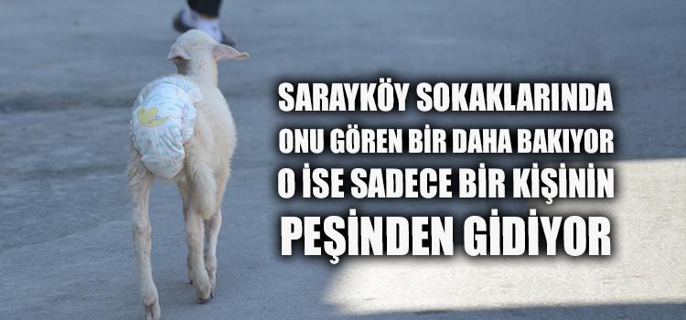 BU KUZU BİR KADINA ANNE DİYE BAĞIRIYOR 