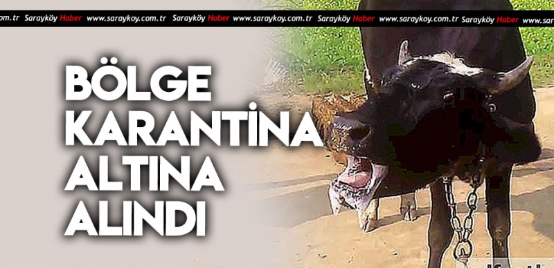 DENİZLİ'DE BİR KUDUZ OLAYI I DAHA 