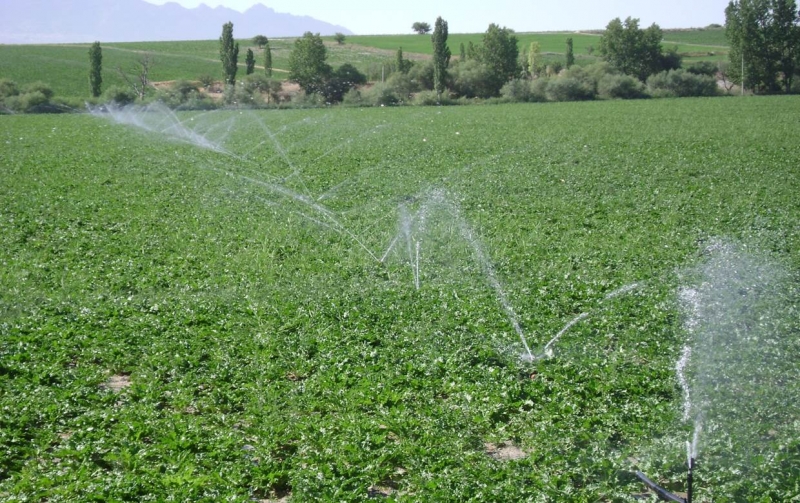DENİZLİ’DE TARIMA KAZANDIRILAN ALAN HER GEÇEN GÜN ARTIYOR