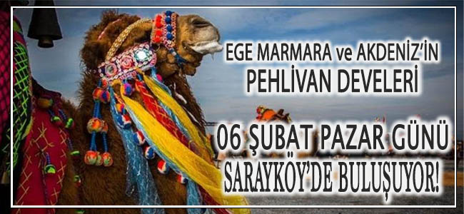 EGE MARMARA ve AKDENİZ'İN PEHLİVAN DEVELERİ 06 ŞUBAT 2022 PAZAR GÜNÜ SARAYKÖY'DE BULUŞUYOR!