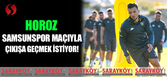 Horoz Samsunspor maçıyla çıkışa geçmek istiyor!