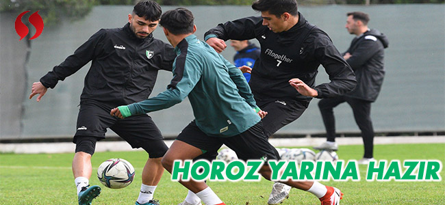 Horoz yarına hazır