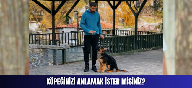 Köpeğinizi Anlamak İster Misiniz?