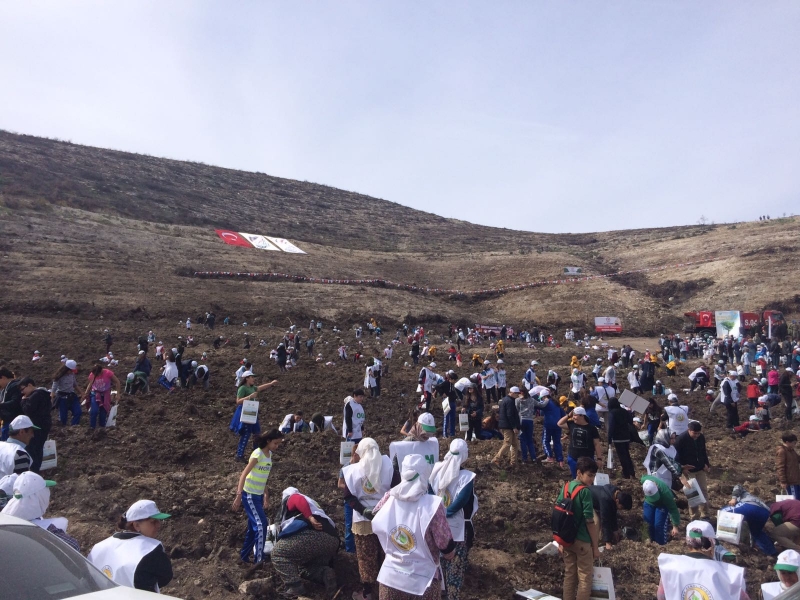 PAÜ Genç Tema Topluluğu Fidan Dikti