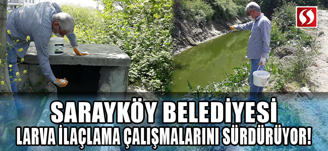Sarayköy Belediyesi larva ilaçlama çalışmalarını sürdürüyor!