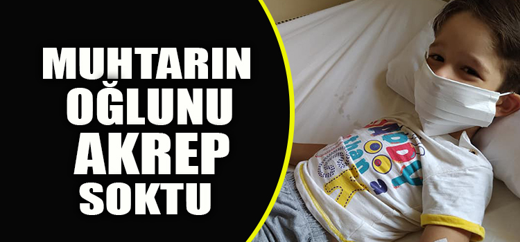 SARAYKÖY'DE ÇOCUĞU AKREP SOKTU 