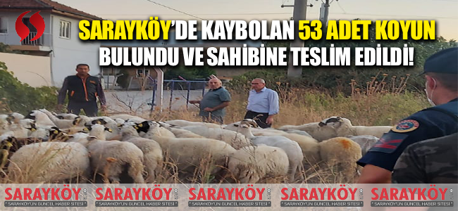 Sarayköy'de kaybolan 53 adet koyun bulunarak sahibine teslim edildi!