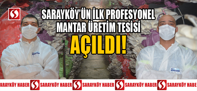 SARAYKÖY'ÜN İLK PROFESYONEL MANTAR ÜRETİM TESİSİ AÇILDI!