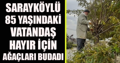 85 Yaşındaki Vatandaş Hayır İçin Yol Kenarındaki Ağaçları Budadı