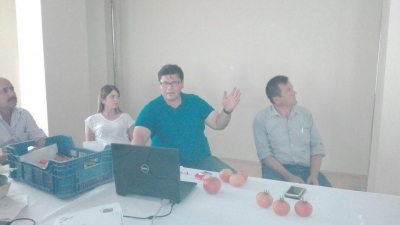 ARAPLAR, ÇAL DOMATESİNE HAYRAN KALDI