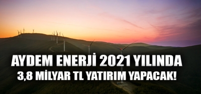Aydem Enerji 2021 Yılında 3,8 Milyar TL  Yatırım Yapacak!