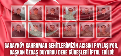 Başkan Özbaş'tan örnek davranış, Şehitlerimiz için Sarayköy Deve Güreşi Festivali iptal edildi!