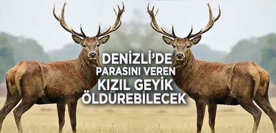 BU LİSTE HAYVAN SEVERLERİ KIZDIRACAK 