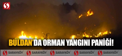 Buldan'da orman yangını paniği!