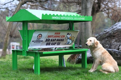 Büyükşehir can dostları da unutmadı