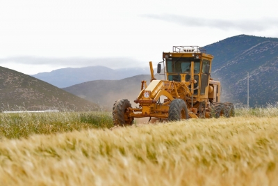Büyükşehir'den üreticilere kolaylık