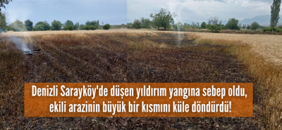 Denizli Sarayköy'de düşen yıldırım ekili arazide zarara yol açtı, 2 dekar alan küle döndü!