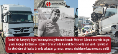 Denizli Sarayköy’de feci kaza! Talihsiz adam yavru köpeği kurtarmak isterken tırın altında kalarak can verdi