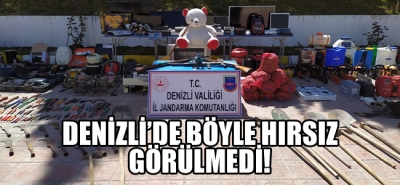 Denizli'de böyle hırsız görülmedi!