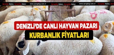 Denizli'de Canlı Hayvan Pazarı Kurbanlık Fiyatları
