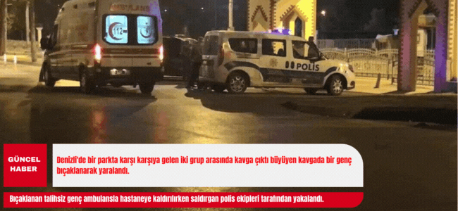 Denizli'de gençler arasında parkta çıkan kavgada kan aktı!