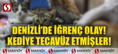 Denizli'de iğrenç olay! Kediye tecavüz ettiler!