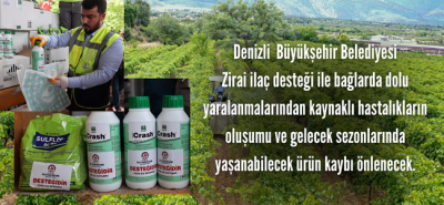Denizli'de üreticinin dolu zararı Büyükşehir desteği ile önlenecek!