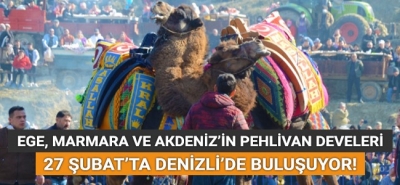 Ege, Marmara ve Akdeniz'in pehlivan develeri 27 Şubat'ta Denizli'de buluşuyor!
