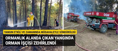 Ormanlık alanda çıkan yangından orman işçisi zehirlendi!