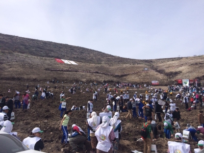 PAÜ Genç Tema Topluluğu Fidan Dikti