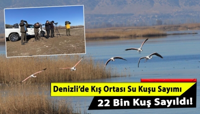 PAÜ’lü Araştırmacıların Gerçekleştirdiği ‘KOSKS 2022’ Kapsamında  22 Bin Kuş Tespit Edildi!