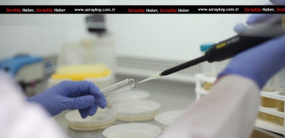 PAÜ’nün 4 Projesi Birden TÜBİTAK Tarafından Destek Aldı