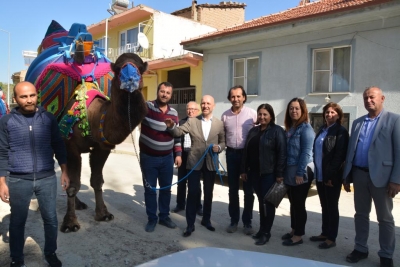 Sarayköy, 3 Şubat’ta iddialı bir deve güreşine ev sahipliği yapacak