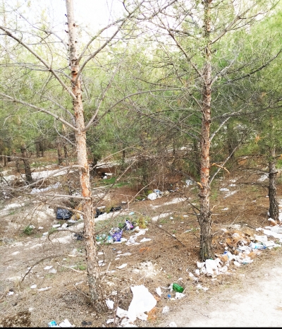  Sarayköy Ormanlık alanında çöp rezaleti