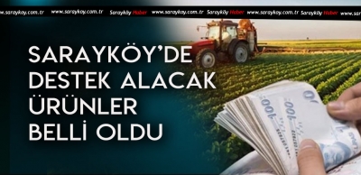 SARAYKÖY'DE BUNLARI EKENLER DESTEK ALACAK 