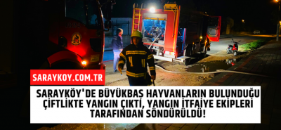 Sarayköy'de büyükbaş hayvanların bulunduğu çiftlikte yangın çıktı, yangın itfaiye ekipleri tarafından söndürüldü!