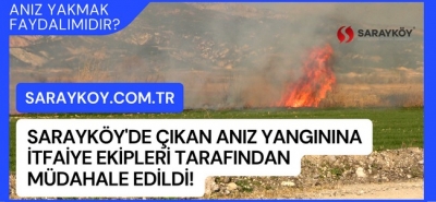 Sarayköy'de çıkan anız yangınına itfaiye ekipleri tarafından müdahale edildi!