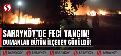 Sarayköy'de feci yangın! Dumanlar bütün ilçeden görüldü!