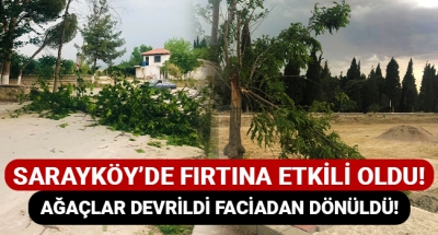 Sarayköy'de fırtına etkili oldu! Ağaçlar devrildi, faciadan dönüldü!