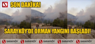 Sarayköy'de orman yangını başladı!