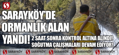 Sarayköy'de ormanlık alan yandı! 2 saat sonra kontrol altına alındı! 