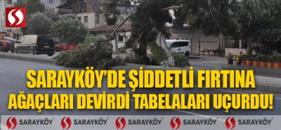 Sarayköy'de şiddetli fırtına ağaçları devirdi, tabelaları uçurdu!