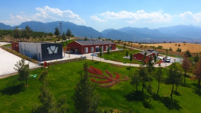 Sokak hayvanları 5 yıldızlı tesise kavuşuyor