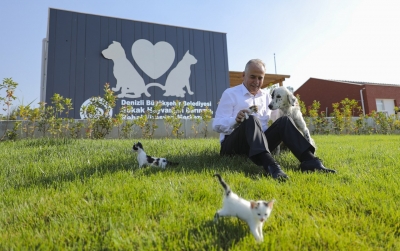 Tarım ve Orman Bakanı Pakdemirli, 5 yıldızlı tesisi açacak