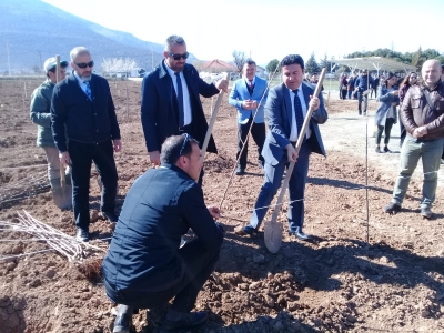 Tavas MYO’da Meyve Fidanı Diktiler